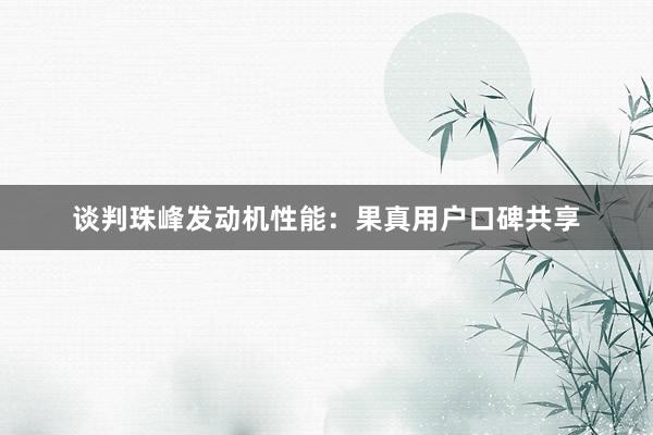 谈判珠峰发动机性能：果真用户口碑共享
